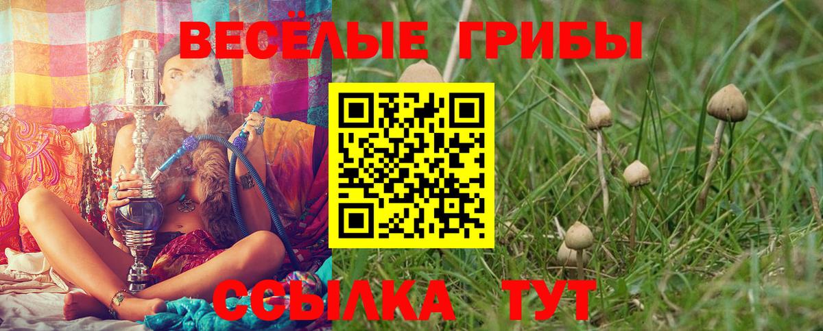 Нальчик  Псилоцибиновые грибы мухоморы  Вход с VPN 